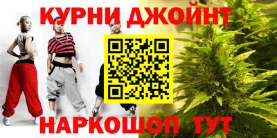 мдпв Гусев