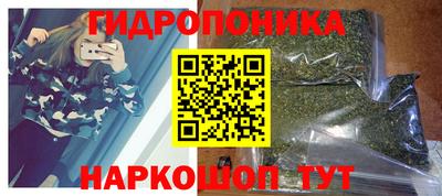 мдпв Гусев