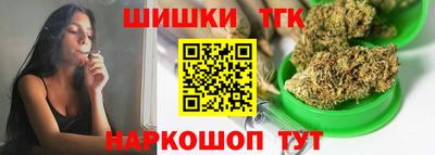 мдпв Гусев